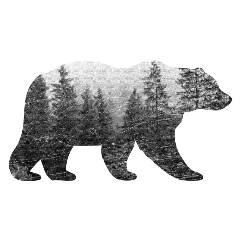 Bär