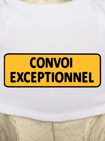 Convoi Exeptionnel