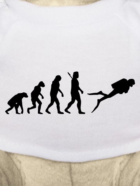Evolution Tauchen