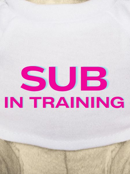 Sub in Training