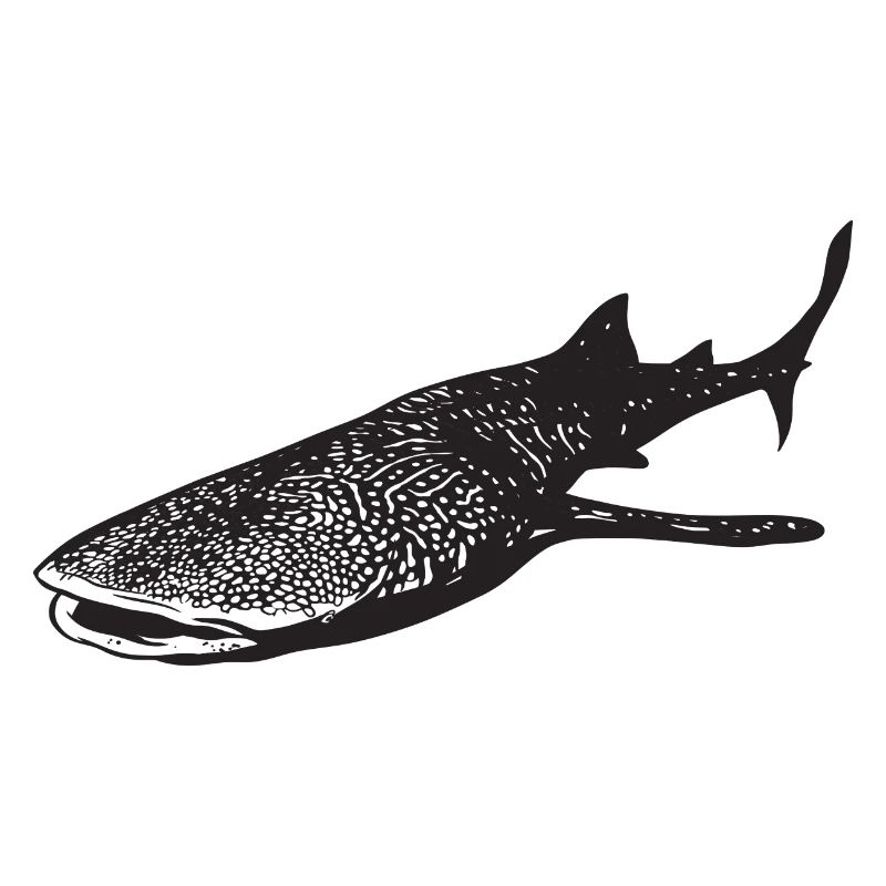 Requin-baleine