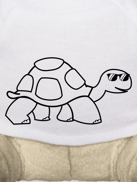 cool turtle
