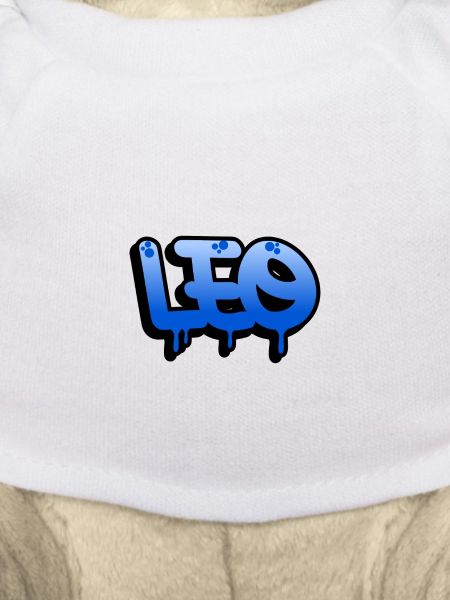 Graffiti-Name Leo