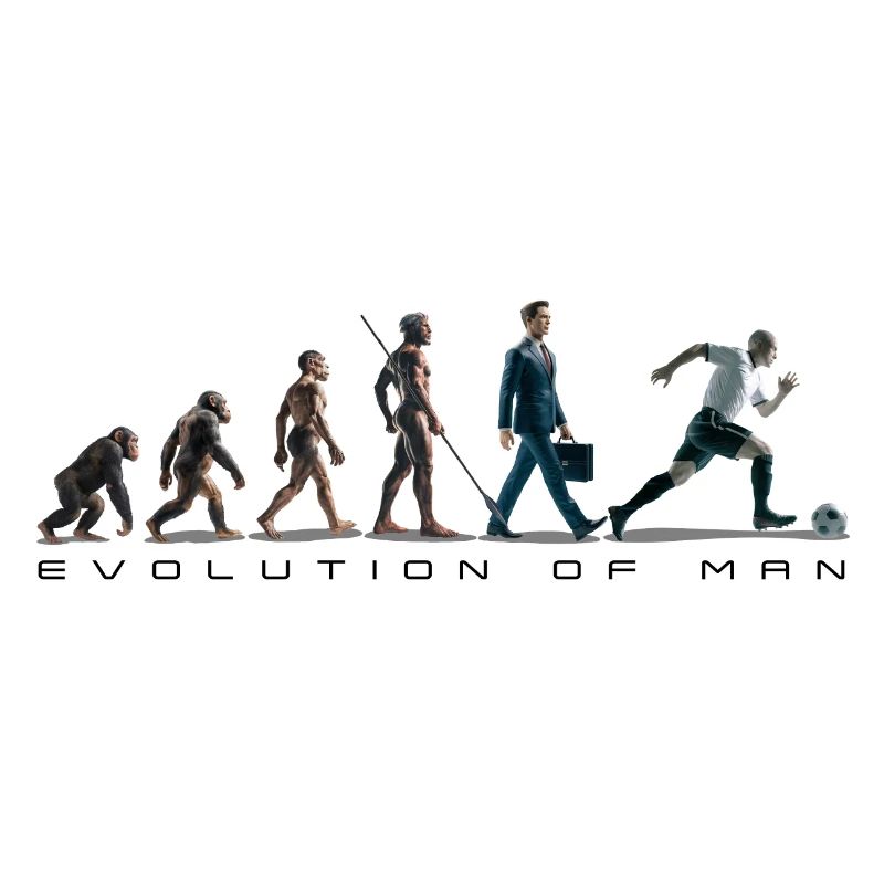 Evolution Fussball Zeichenfläche 1 Kopie