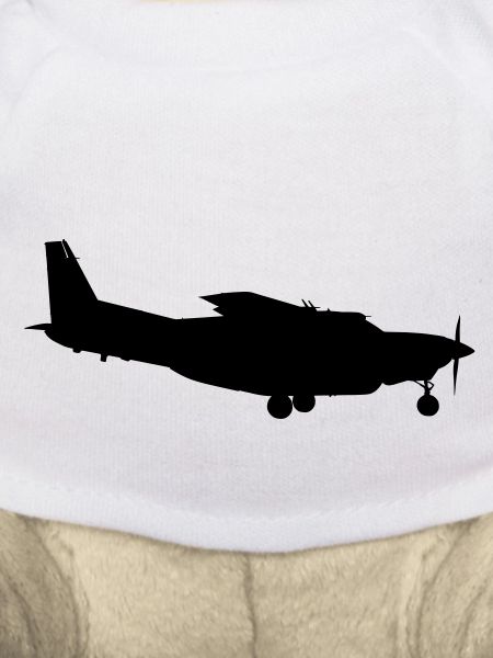 airplane