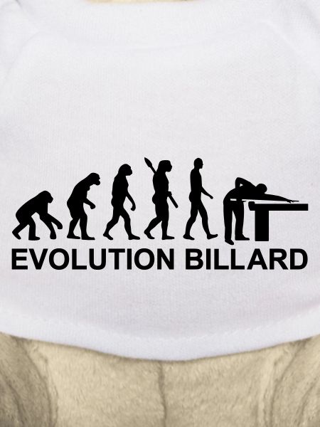 Evolution Billards