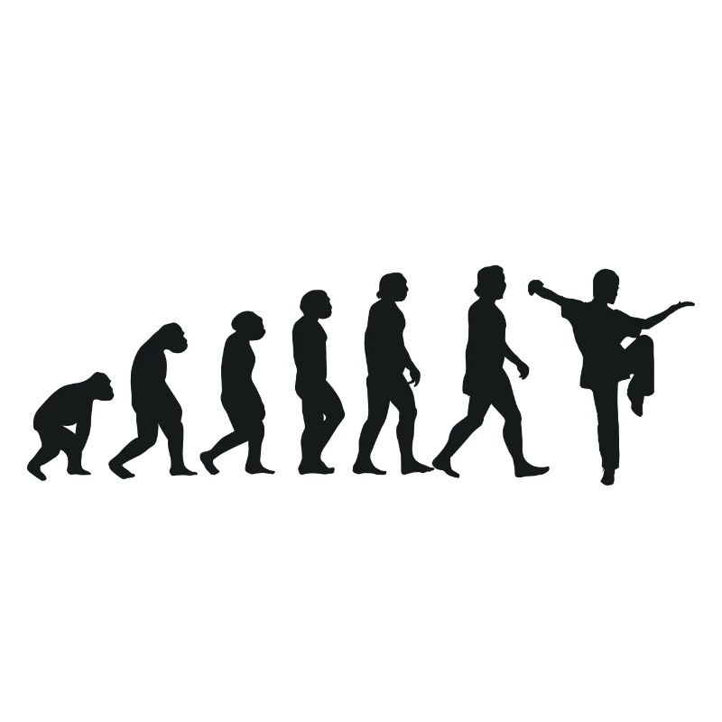 Evolution of Kung Fu