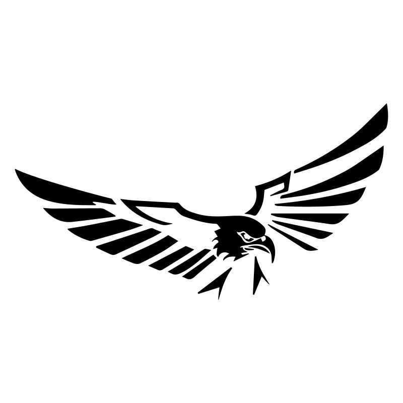 flying eagle opening its wings - 20