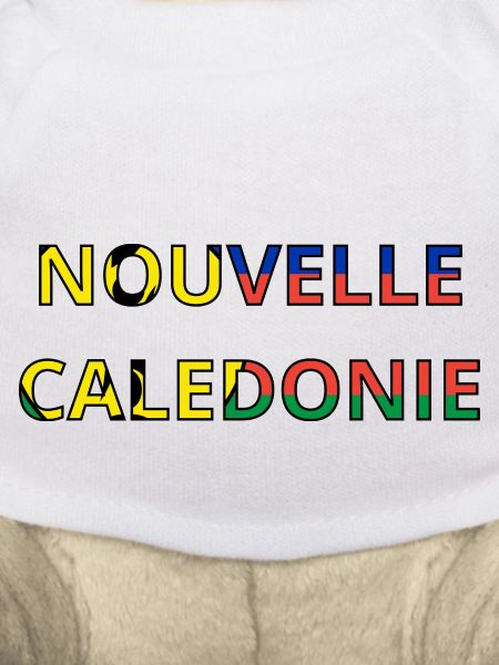 Drapeau Nouvelle-Calédonie