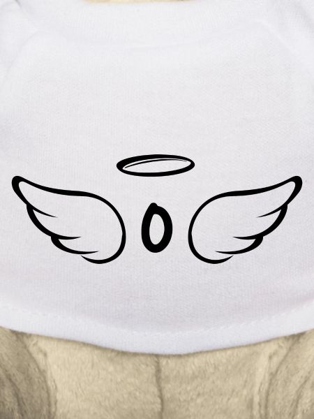 Letter o angel wings