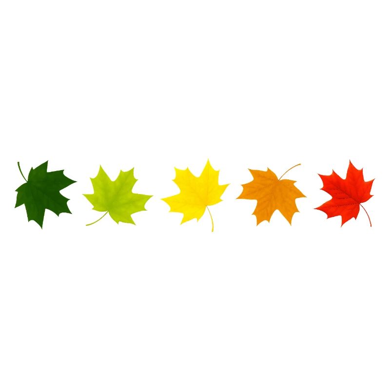 Autumn is here