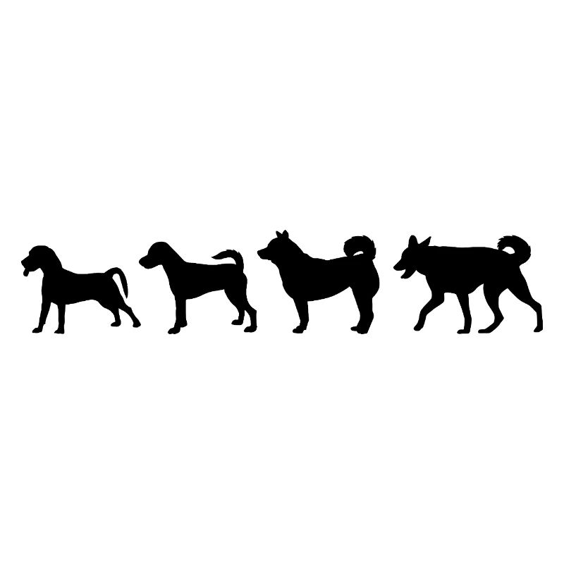 Entwicklung des Hundes