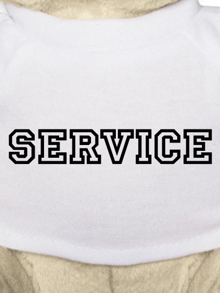 Service