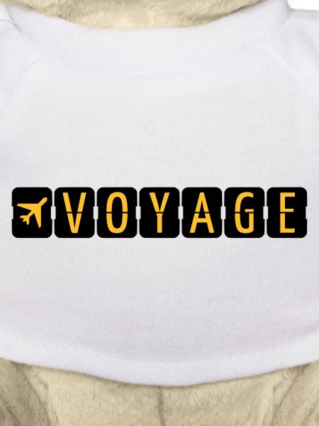 Voyage