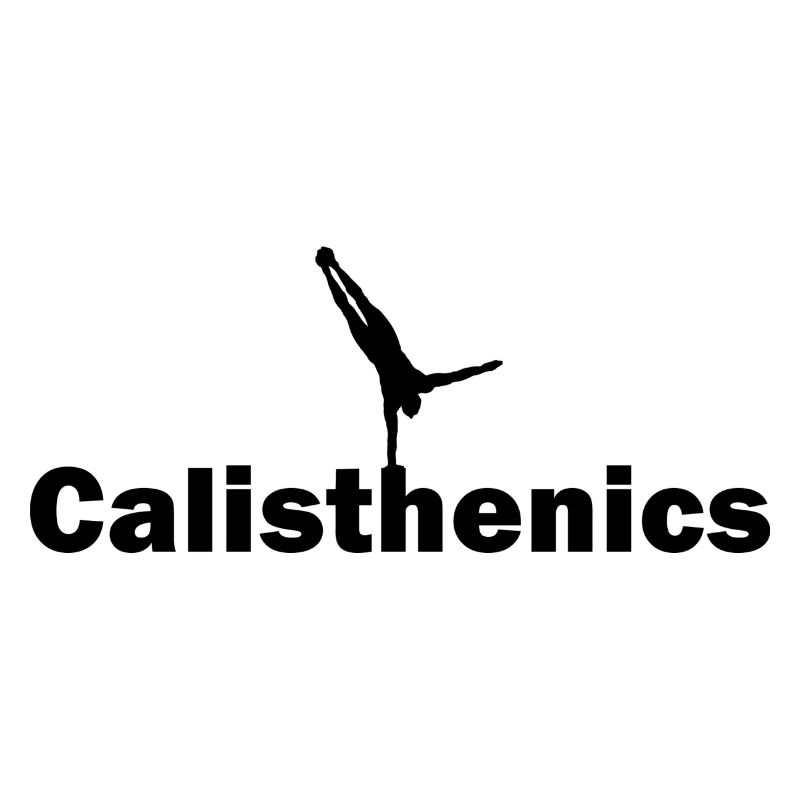Calisthenics