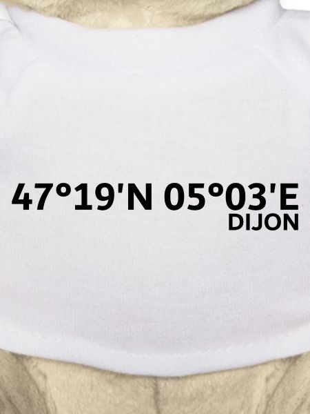 Coordonnées de Dijon