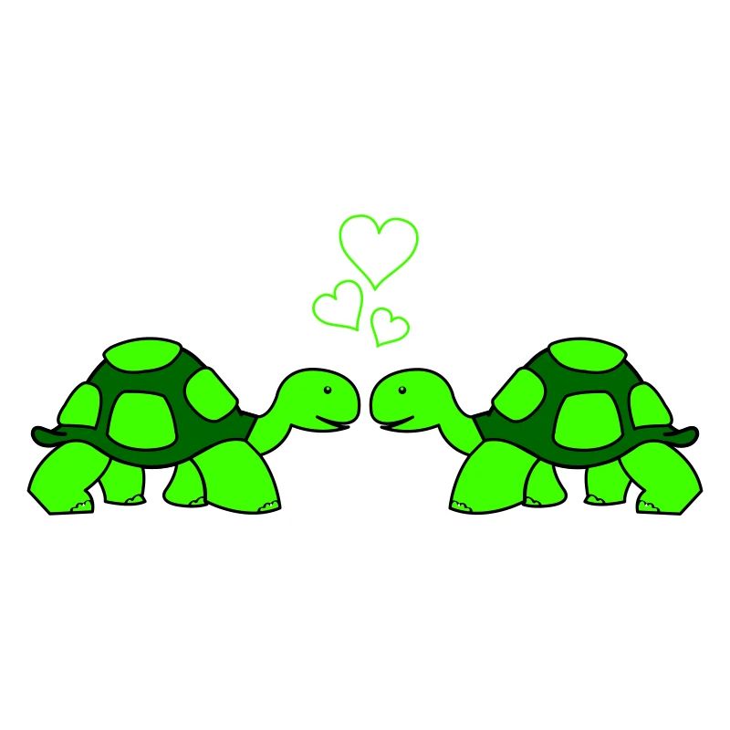 Amour de tortue