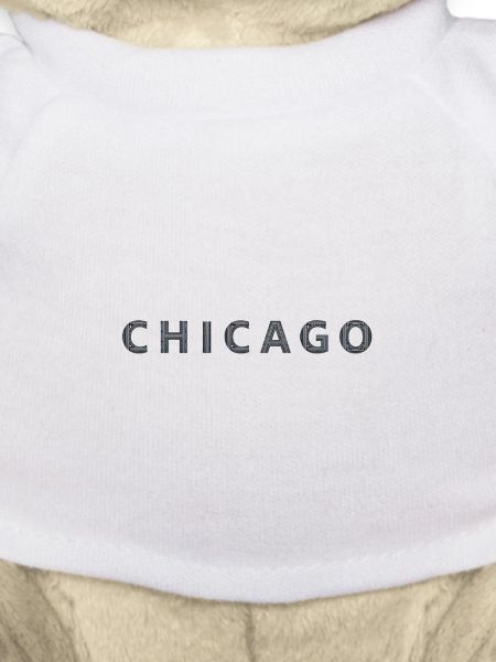 CHICAGO – Architectural Steel Typography