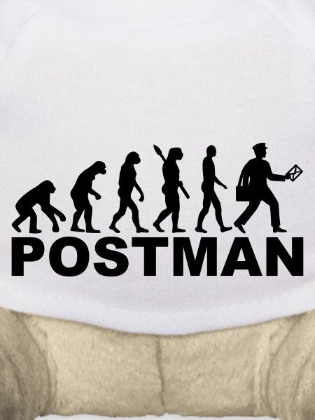 Evolution postman