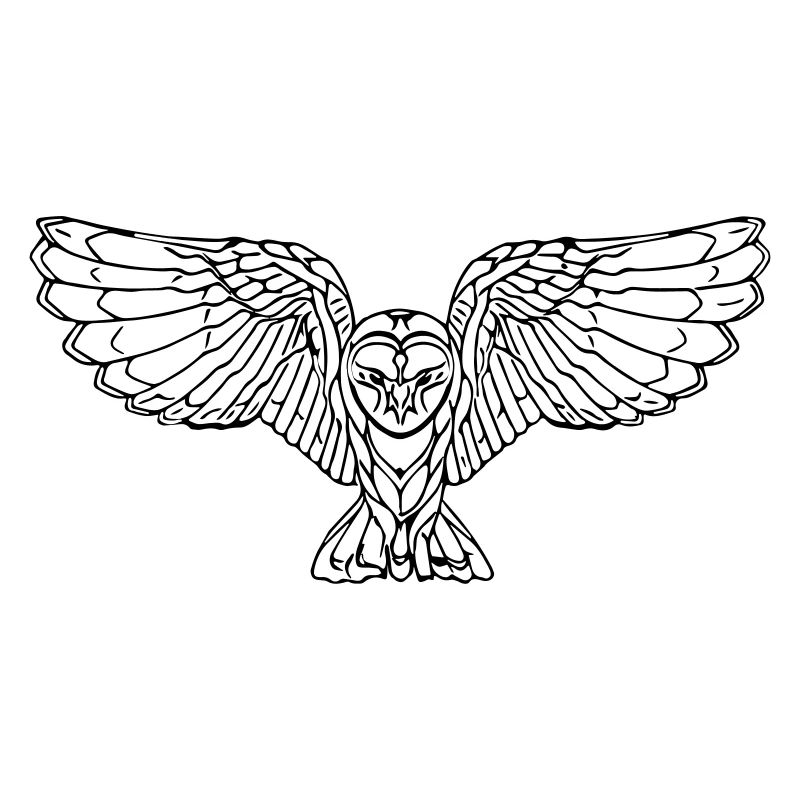 Elegant flying owl