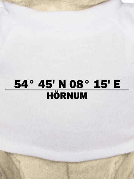 Coordonnées de Hörnum