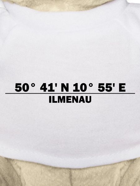Coordonnées d’Ilmenau
