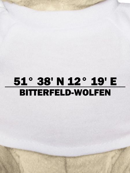 Coordonnées Bitterfeld-Wolfen