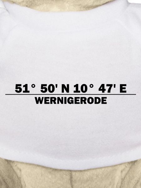 Coordonnées de Wernigerode