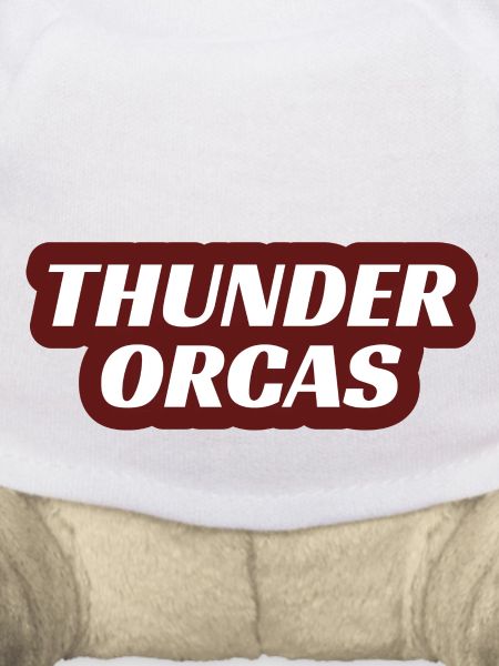 Thunder Orcas