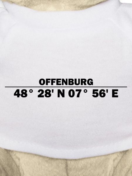 Coordonnées Offenburg