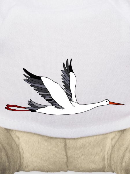 Storch
