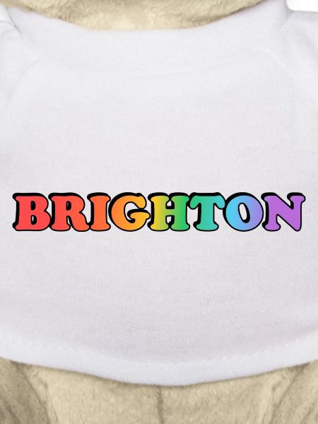 Brighton schwuler LGBTQ Rainbow Pride
