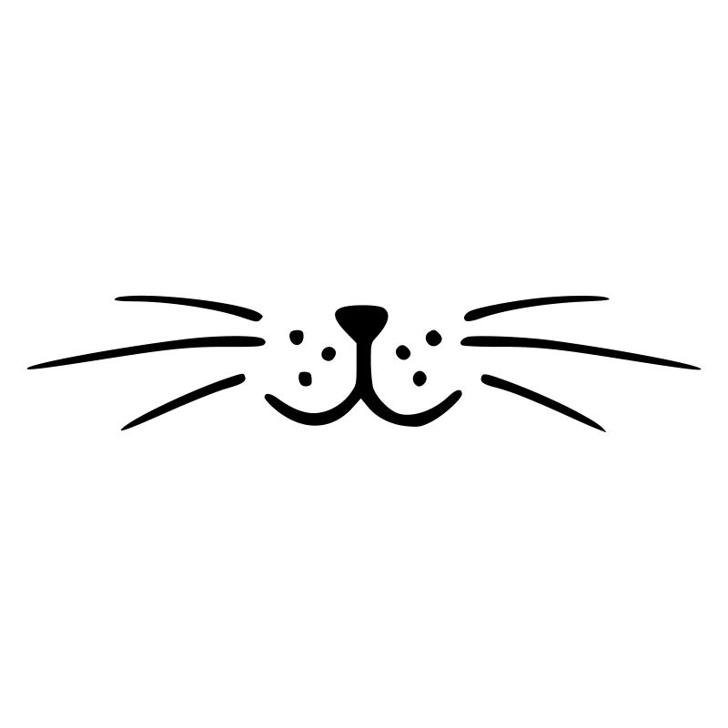 Chat moustaches. Tête de chat. Tête de chat