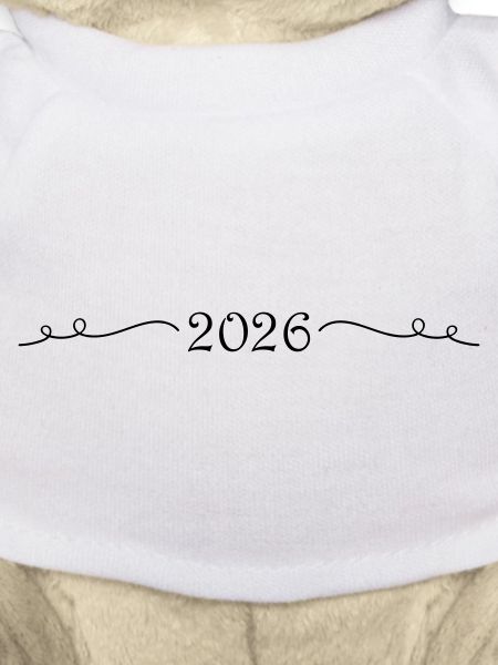 2026 Ornament