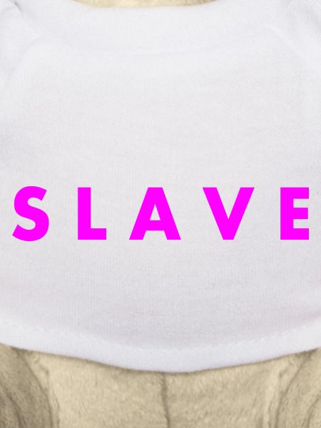 Slave