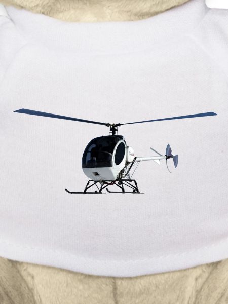 Schweizer 300