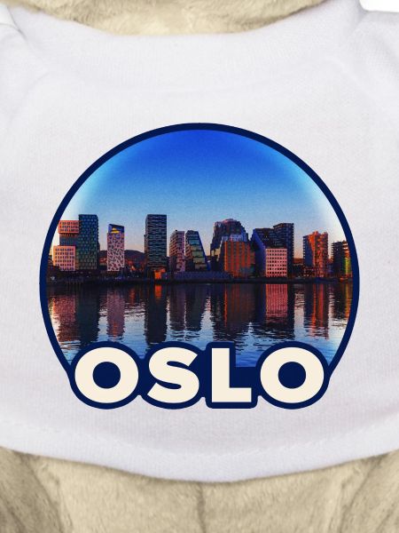 Oslo Skyline Reflektion