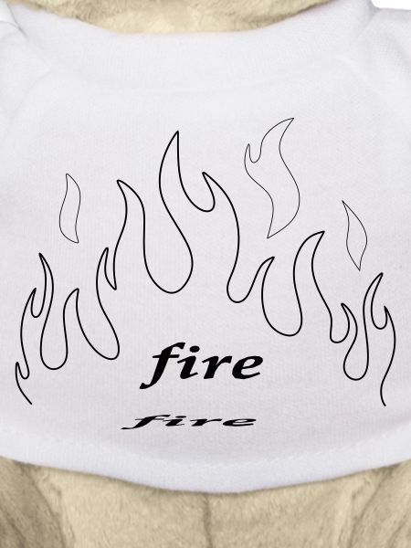 fire & flame