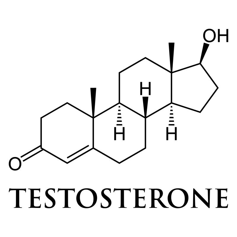 Testosteron
