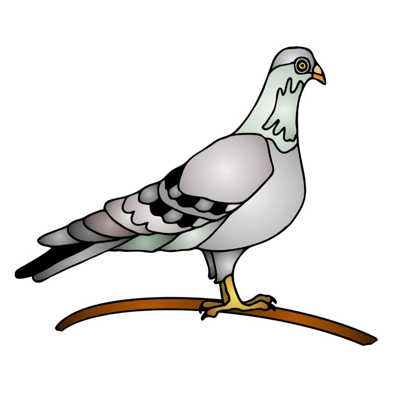 Vogel