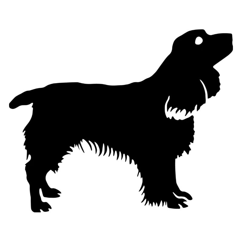 Hund Dog
