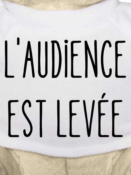 l'audience est levée