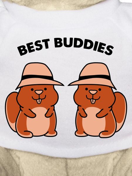 Hamster Best Buddies