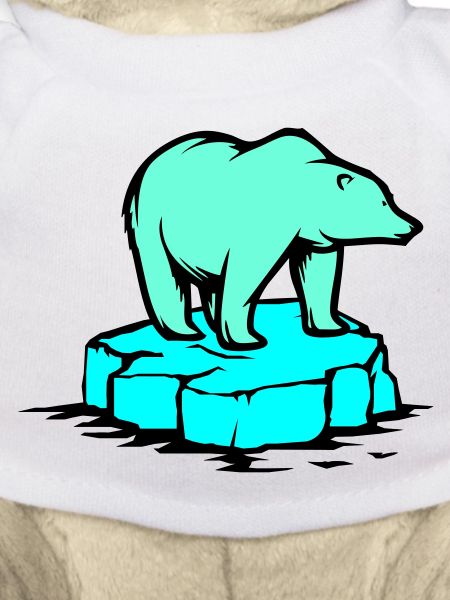 ours blanc