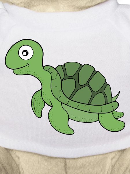 A friendly turtle