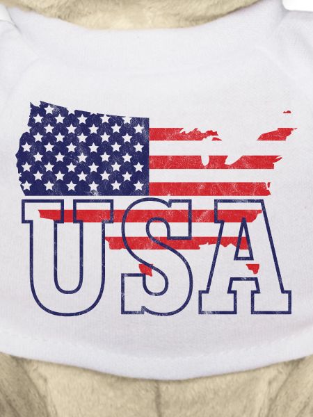 USA map
