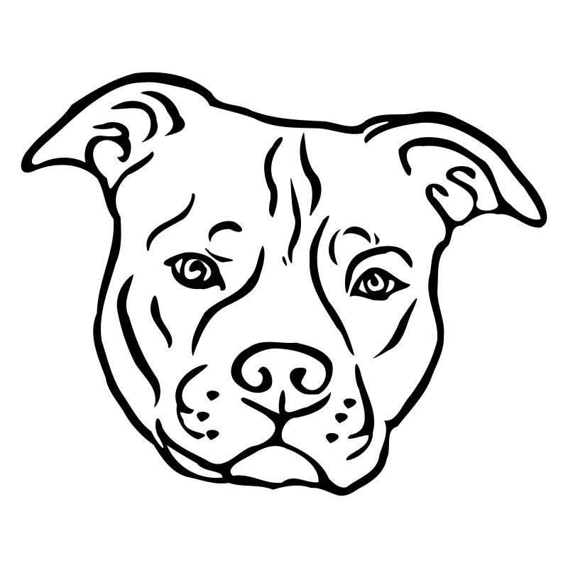 Tête de Satffordshire terrier américain