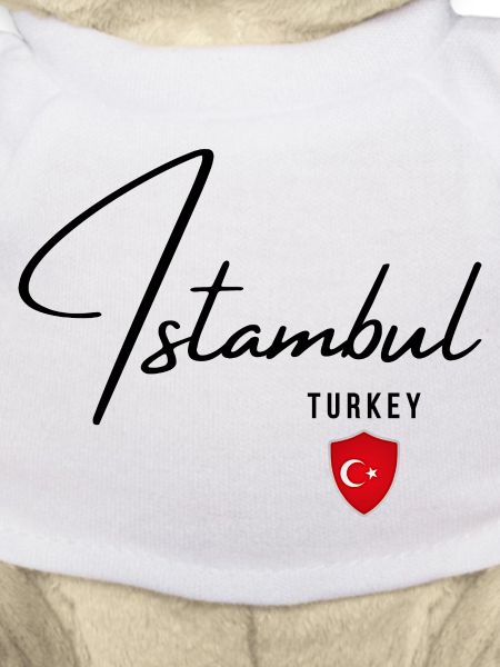Elegant design Istanbul, Turkish pride