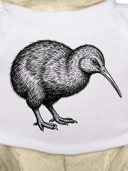 Kiwi Vogel
