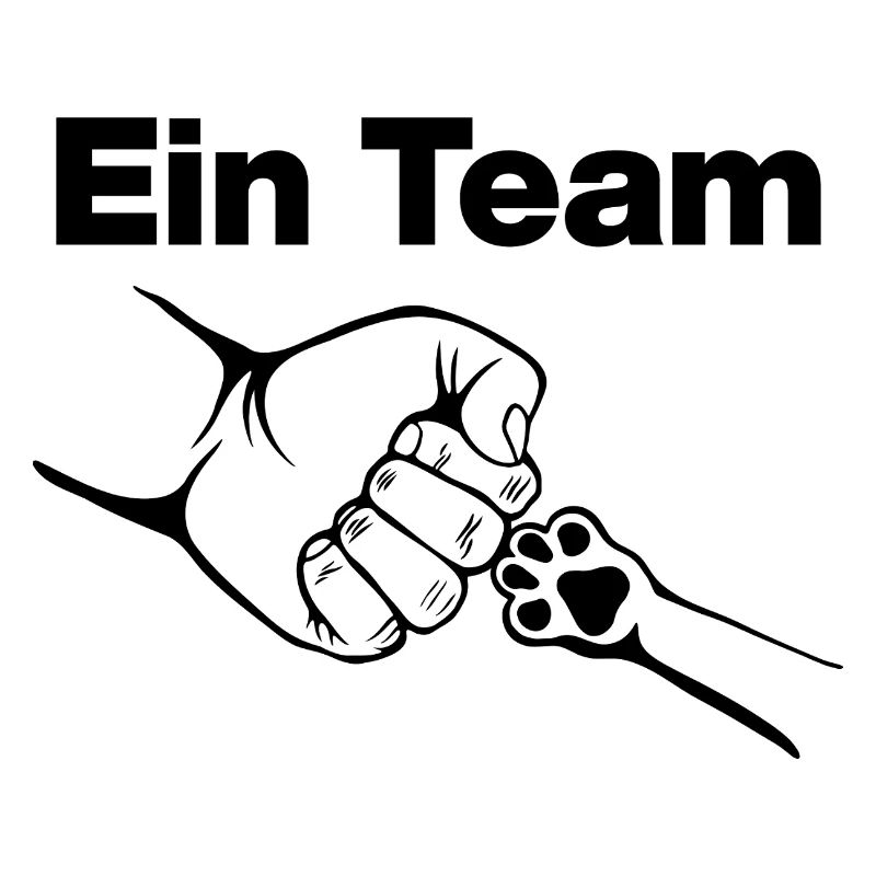 Ein Team – Mensch & Samtpfote, Katzenliebe, Katze